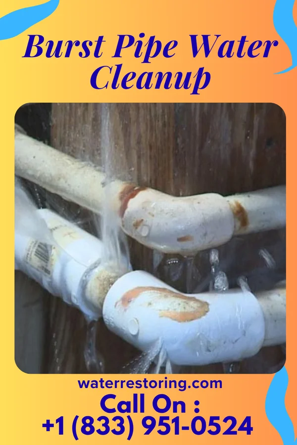 Burst Pipe Water Cleanup in Homestead, PA