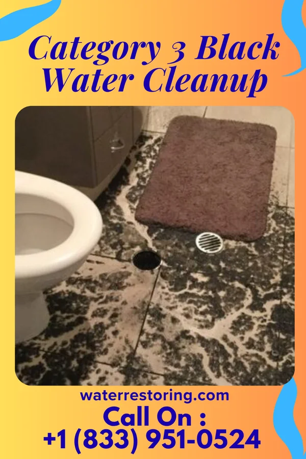 Category 3 Black Water Cleanup in Homestead, PA
