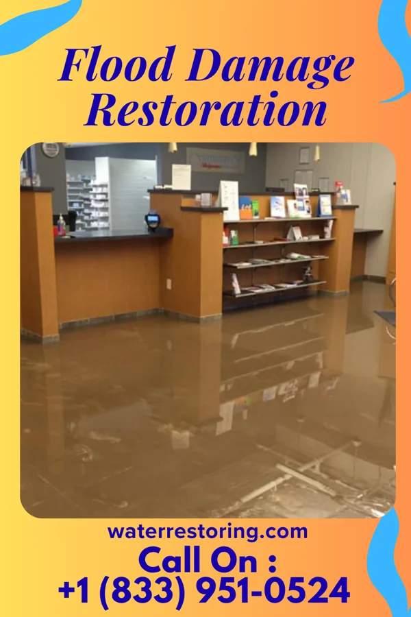 Flood Damage Restoration in Homestead, PA