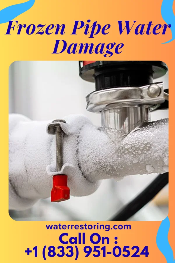 Frozen Pipe Water Damage in Homestead, PA