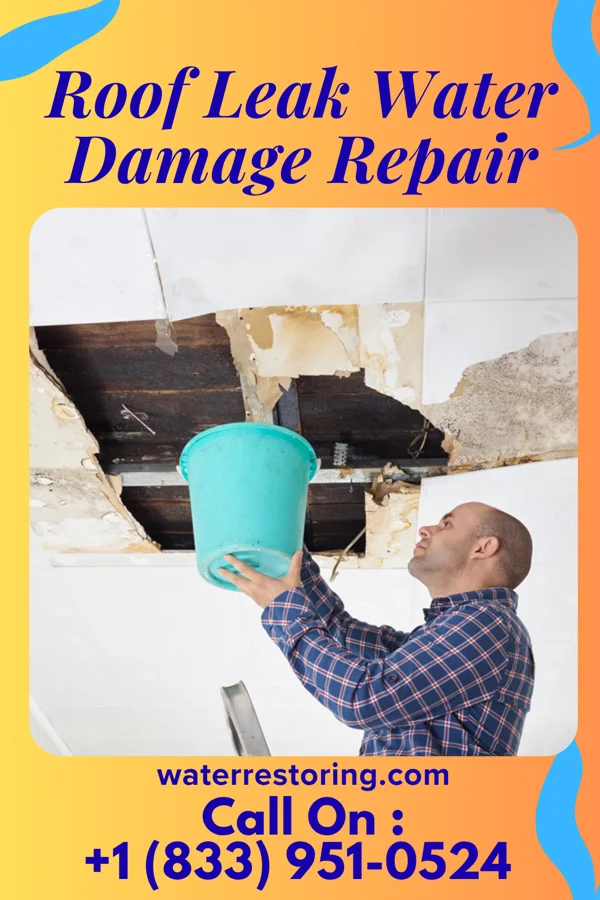 Roof Leak Water Damage Repair in Homestead, PA