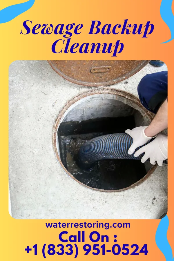 Sewage Backup Cleanup in Homestead, PA