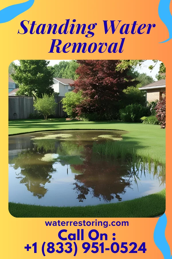 Standing Water Removal in Homestead, PA